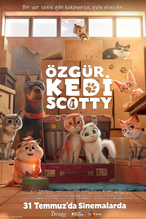 Özgür Kedi Scotty afişi